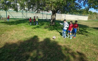 Competir hasta el final y seguir creciendo